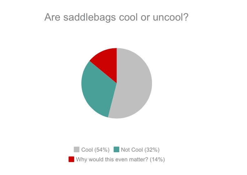 Are saddlebags cool?