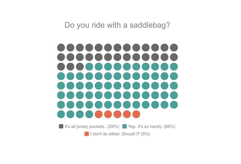 how many cyclists ride with saddlebags?