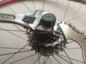 Use a chain whip to remove your bike's cassette