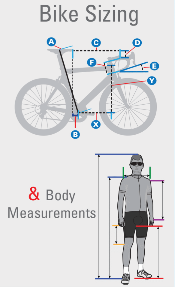 Road Bike Frame Sizes Find And Fit The Right Bicycle For You